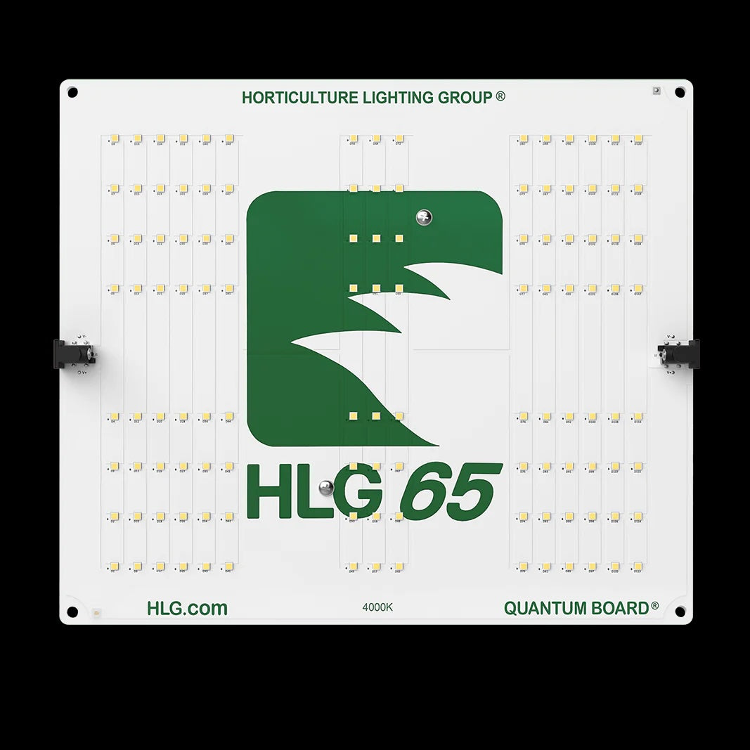 HLG 65