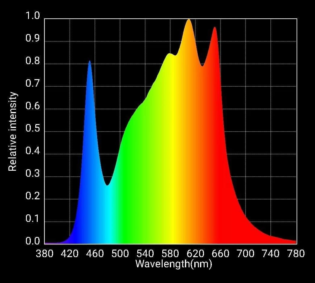 Kit 260W Rspec